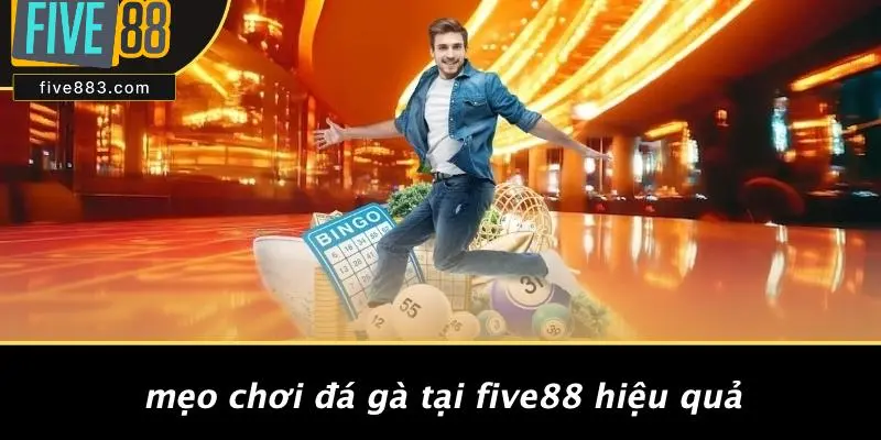 ĐÁ GÀ FIVE88: TRẢI NGHIỆM CÁ CƯỢC ĐỈNH CAO KHÔNG THỂ BỎ LỠ 5 Mẹo Chơi Đá Gà Tại FIVE88 Hiệu Quả